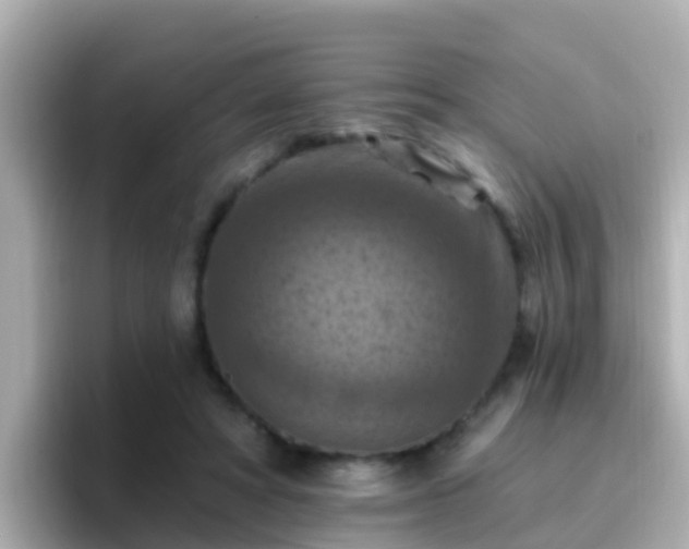X0000096680402200802121216