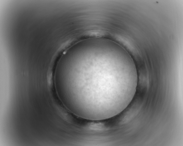X0000096680403200802121216