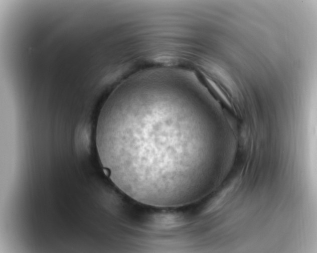 X0000096680404200802121216