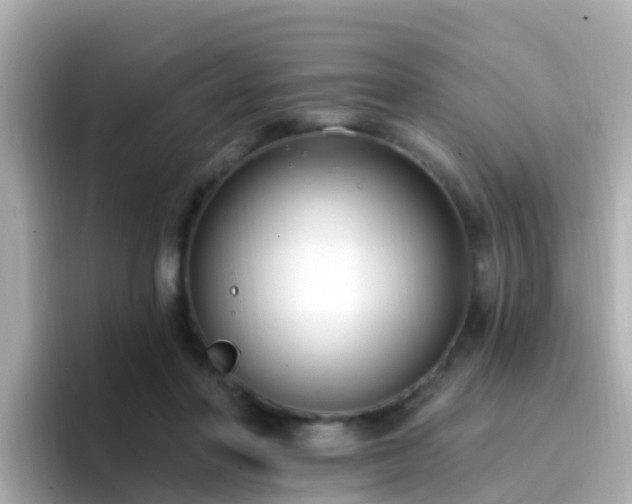 X0000096680406200802121216