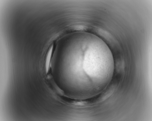 X0000096680407200802121216