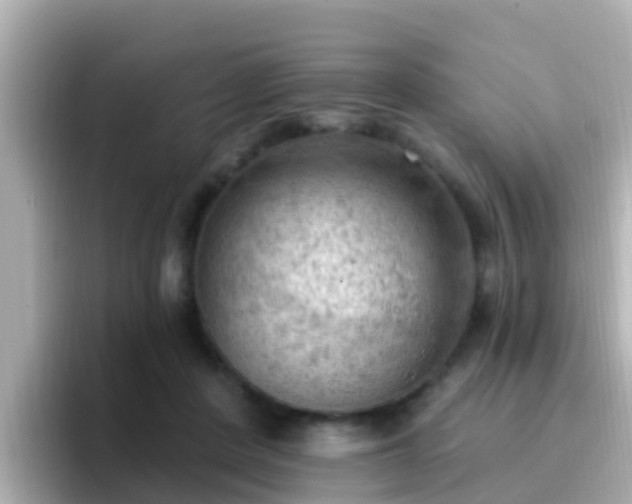 X0000096680408200802121216