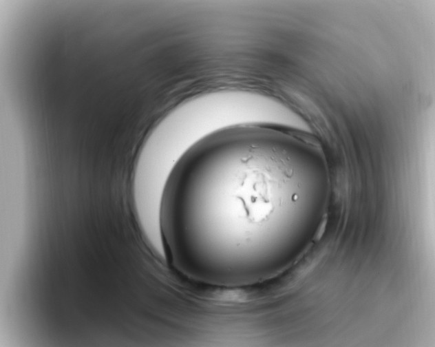 X0000096680409200802121216