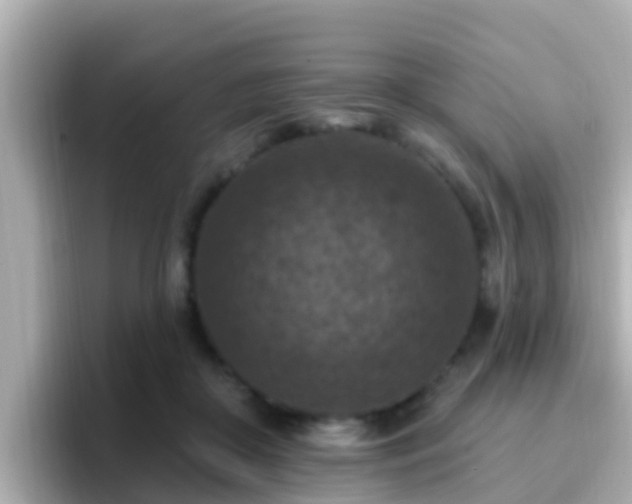 X0000096680410200802121216