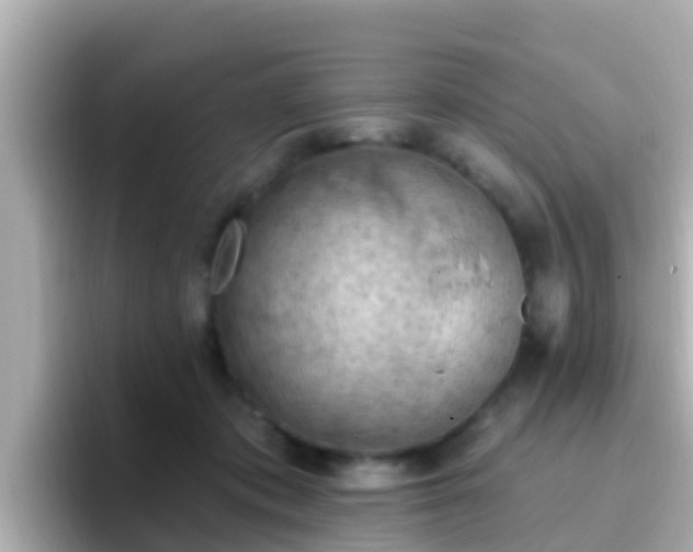 X0000096680413200802121216