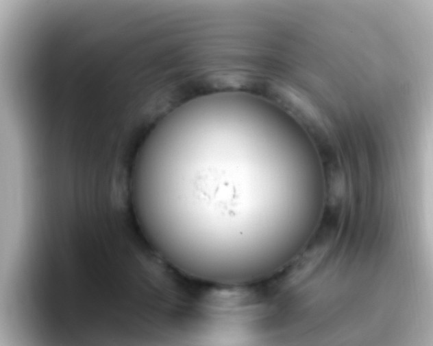 X0000096680414200802121216