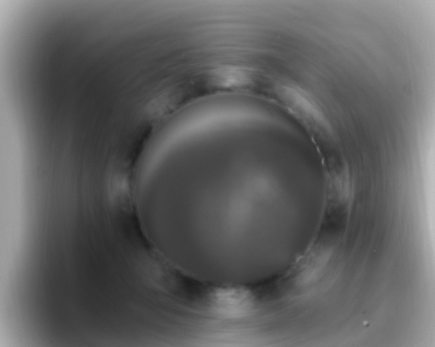 X0000096680415200802121216