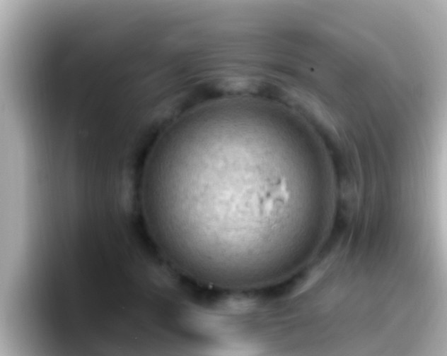 X0000096680416200802121216