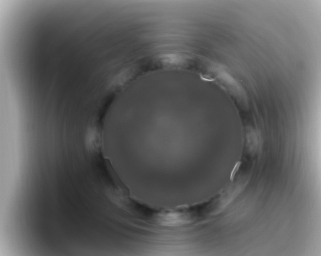X0000096680419200802121216