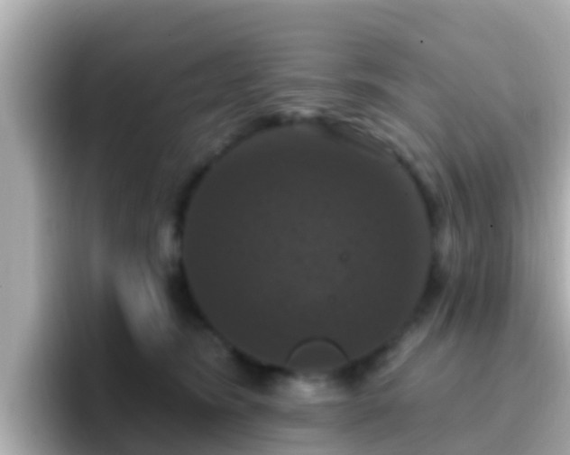 X0000096680420200802121215