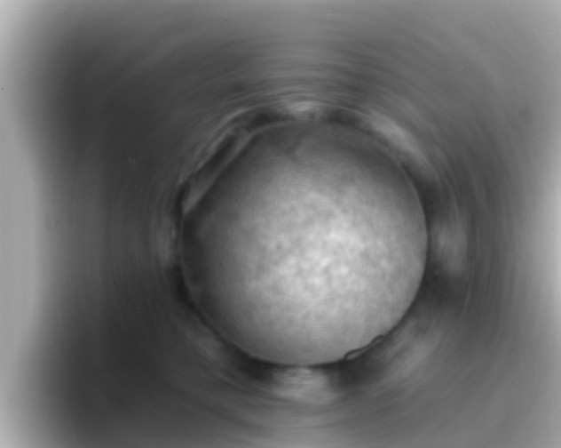 X0000096680421200802121215