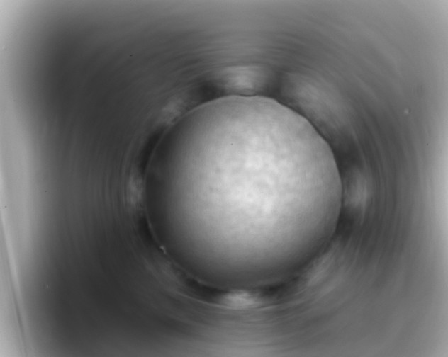 X0000096680425200802121215