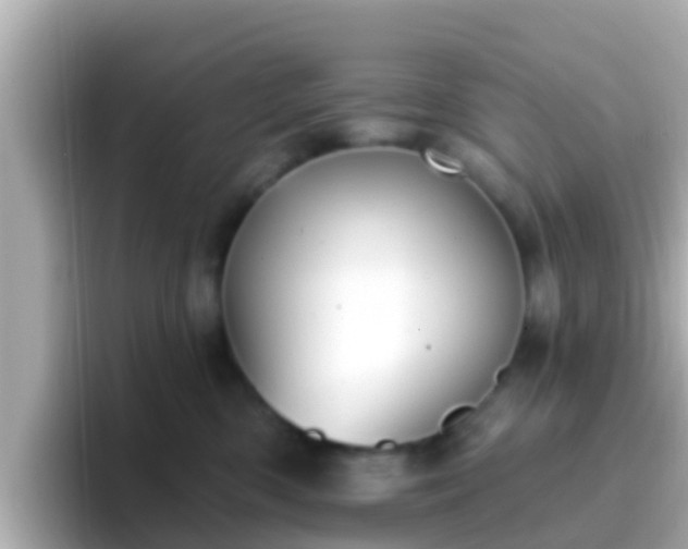 X0000096680426200802121215