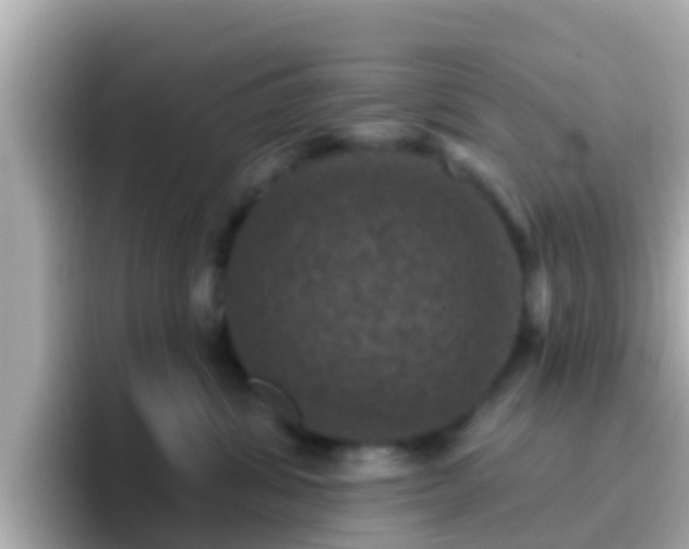 X0000096680428200802121215