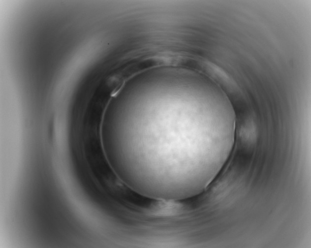 X0000096680429200802121215