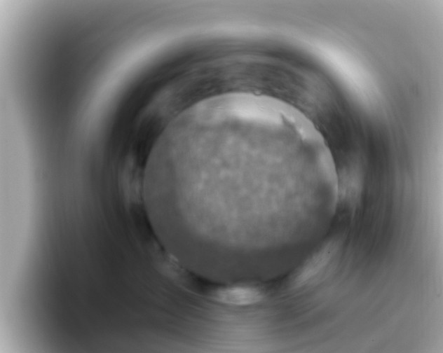 X0000096680431200802121215