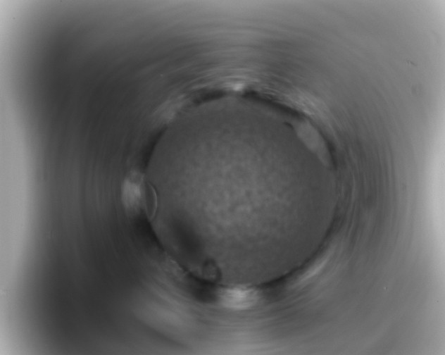 X0000096680432200802121215