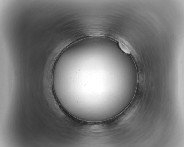 X0000096680433200802121215