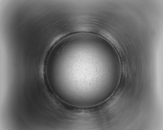 X0000096680434200802121215