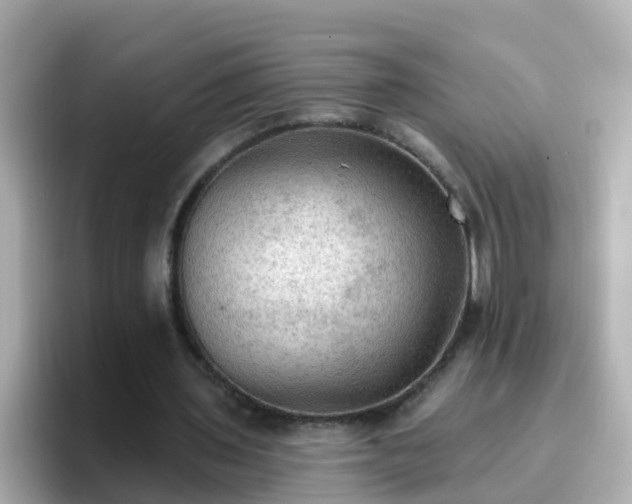 X0000096680435200802121215