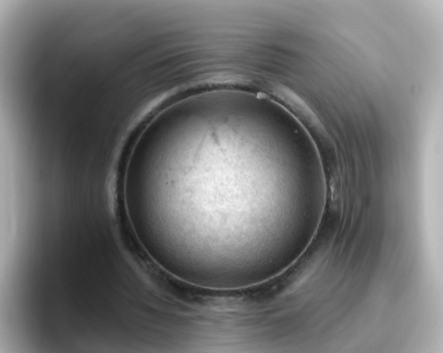 X0000096680436200802121215