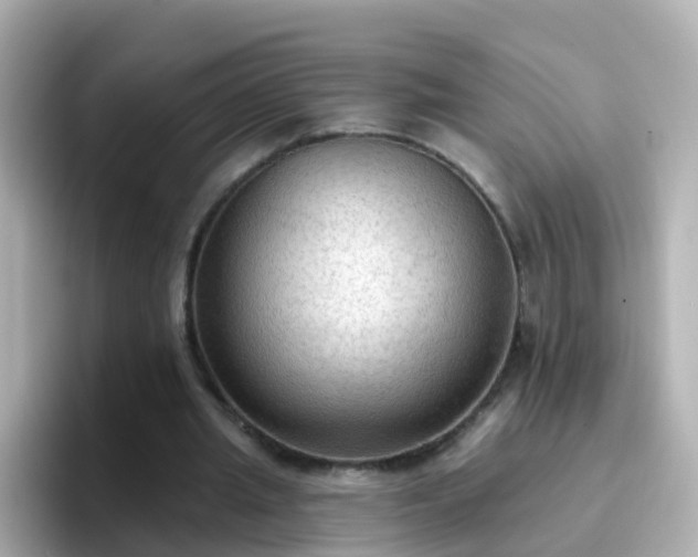 X0000096680437200802121215
