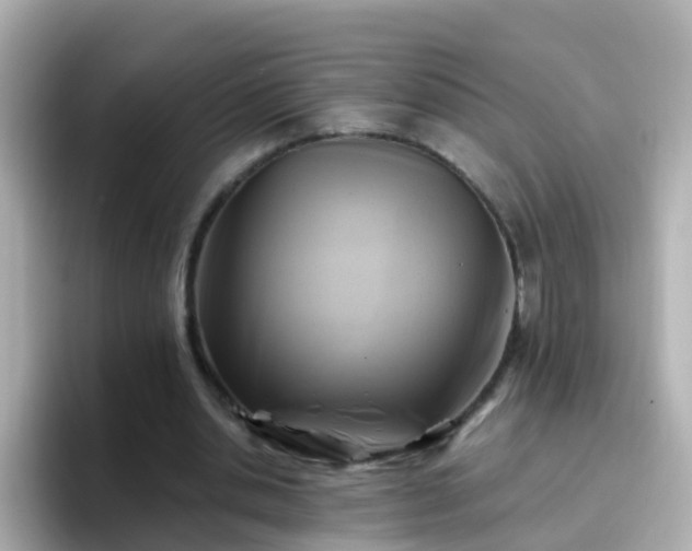 X0000096680438200802121215