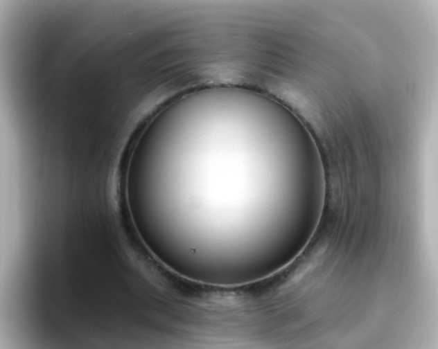 X0000096680439200802121215