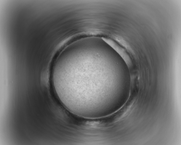 X0000096680440200802121215
