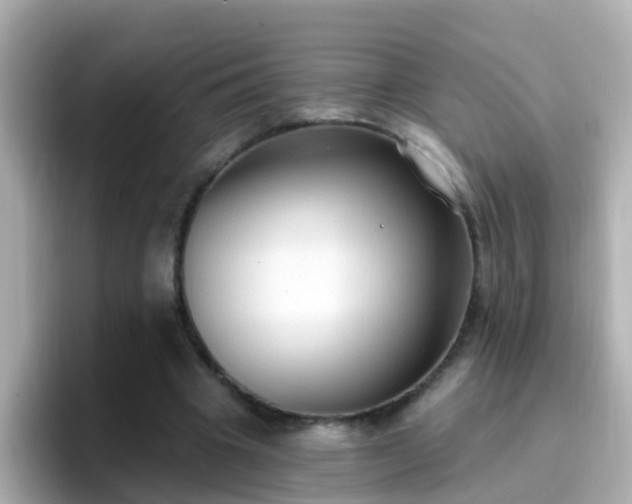 X0000096680441200802121215