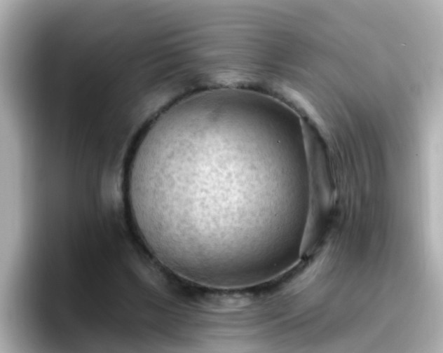 X0000096680443200802121215