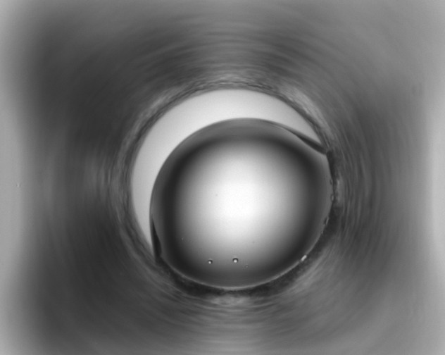 X0000096680444200802121215