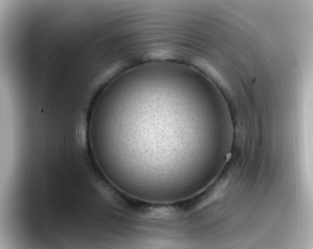 X0000096680446200802121215