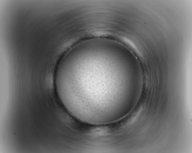 X0000096680447200802121215