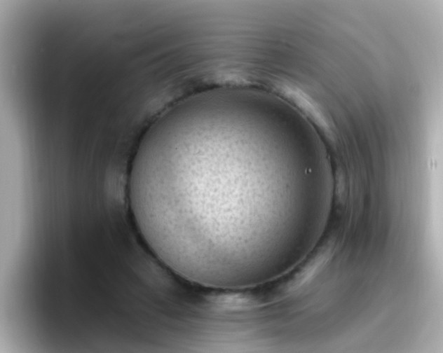 X0000096680449200802121215