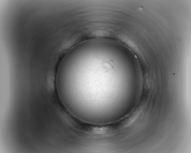 X0000096680450200802121215