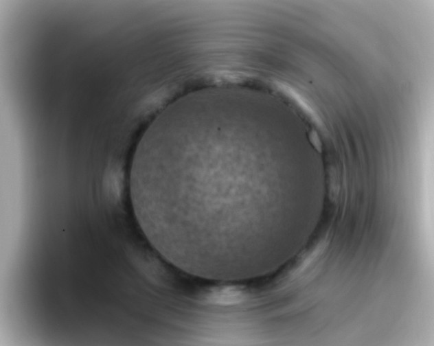 X0000096680451200802121215