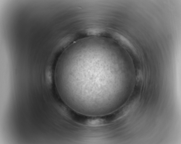 X0000096680452200802121215