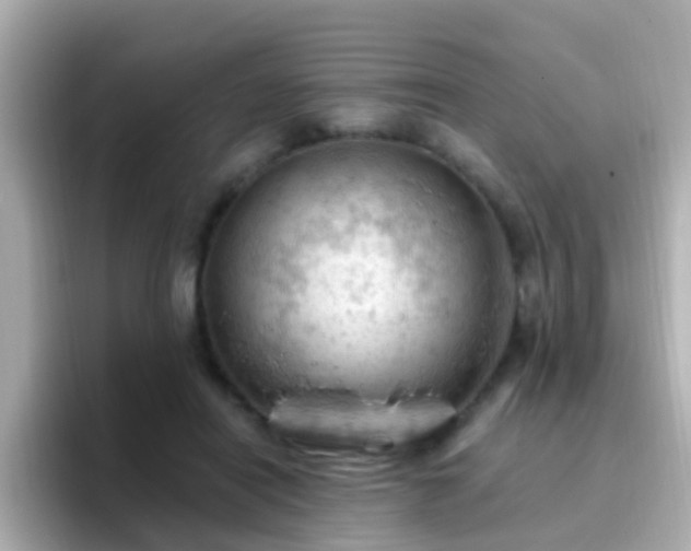 X0000096680454200802121215
