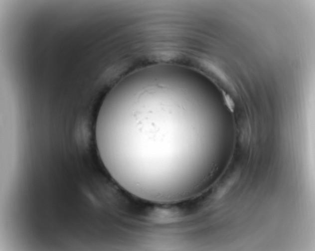 X0000096680455200802121215