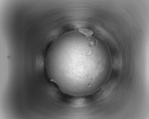 X0000096680456200802121215