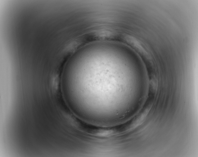 X0000096680458200802121215