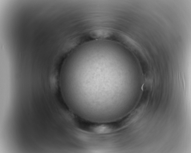 X0000096680460200802121215
