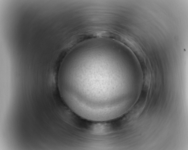 X0000096680461200802121215