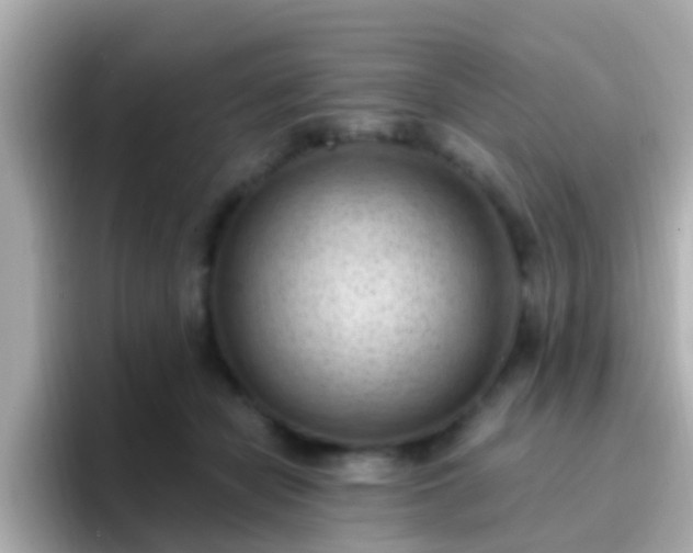 X0000096680462200802121215