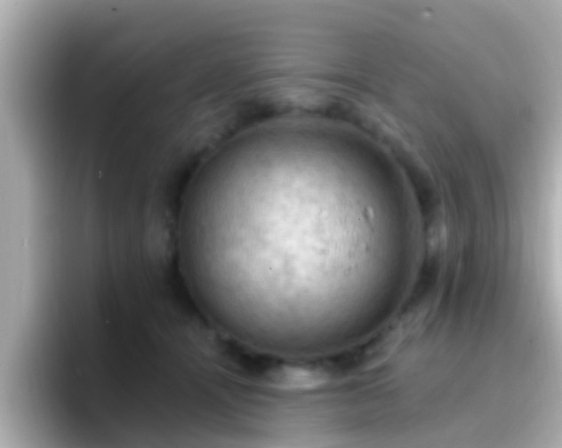 X0000096680464200802121215