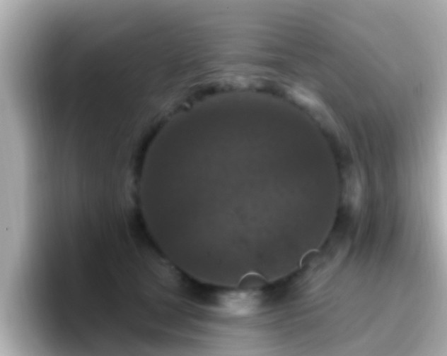 X0000096680465200802121215