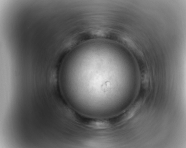 X0000096680466200802121215