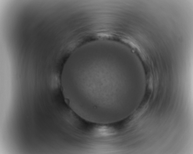 X0000096680467200802121215