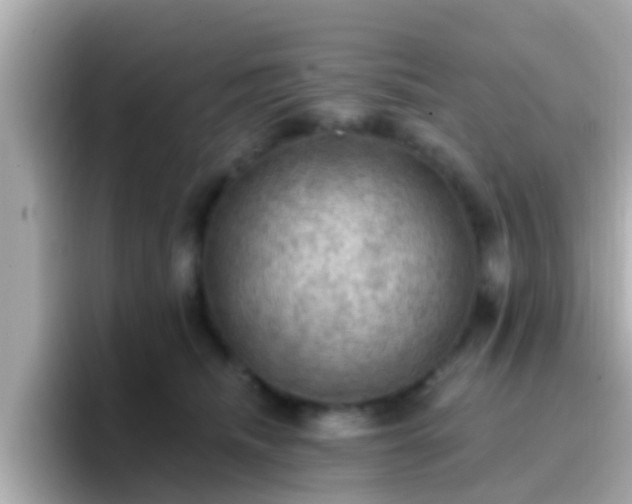 X0000096680468200802121215
